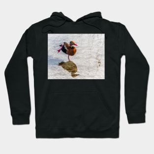 High Stepping Whistling Duck Hoodie